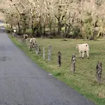 Dom wakacyjny Encantadora De Piedra Con Jardin Y Chimenea Pontevedra