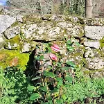 Encantadora De Piedra Con Jardin Y Chimenea Dom wakacyjny Pontevedra