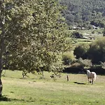 Encantadora De Piedra Con Jardin Y Chimenea Dom wakacyjny
