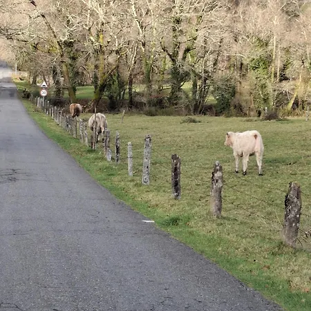 Casa de Férias Vive Escapada Rural Con Alma, Cerca De Todo Y Lejos Del Ruido Pontevedra