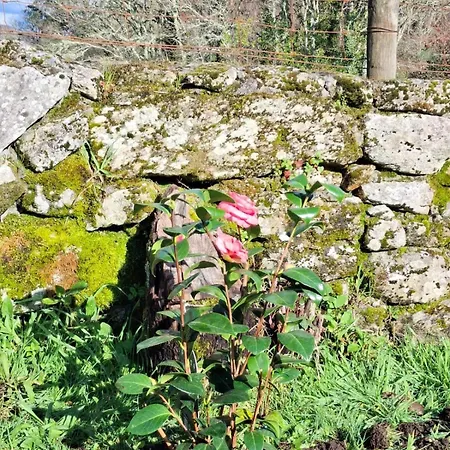 Vive Escapada Rural Con Alma, Cerca De Todo Y Lejos Del Ruido Сasa de vacaciones Pontevedra