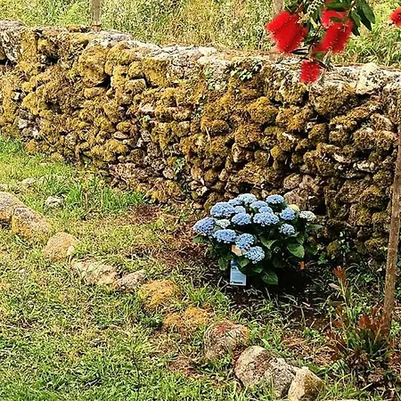 Σπίτι διακοπών Vive Escapada Rural Con Alma, Cerca De Todo Y Lejos Del Ruido