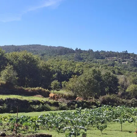 Vive Escapada Rural Con Alma, Cerca De Todo Y Lejos Del Ruido Casa de Férias