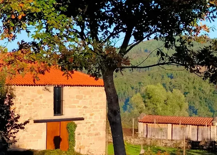 Encantadora De Piedra Con Jardin Y Chimenea *