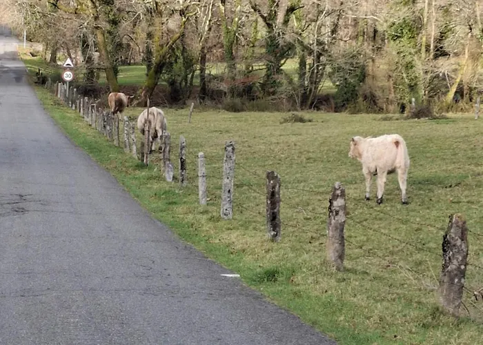 Feriehus Encantadora De Piedra Con Jardin Y Chimenea Pontevedra