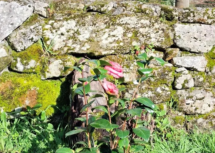 Encantadora De Piedra Con Jardin Y Chimenea Casa vacanze Pontevedra