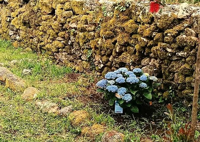 Casa vacanze Encantadora De Piedra Con Jardin Y Chimenea