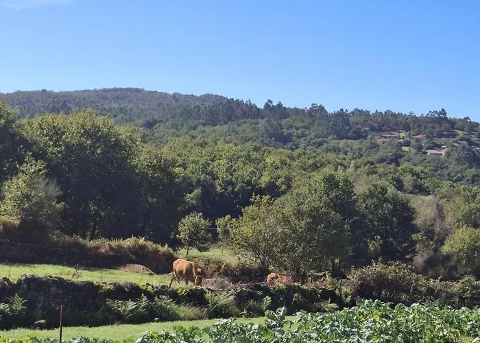 Encantadora De Piedra Con Jardin Y Chimenea Holiday home