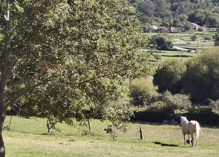 Encantadora De Piedra Con Jardin Y Chimenea Holiday home